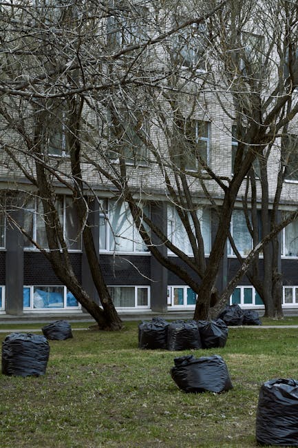 In the foreground, multiple black plastic rubbish bags are scattered across a patch of grass, arranged in no particular order with some slightly leaning or stacked. Behind the bags, there are several 